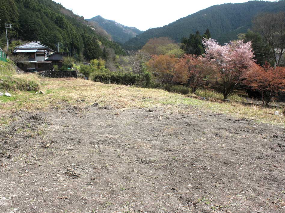 耕作放棄地を開墾