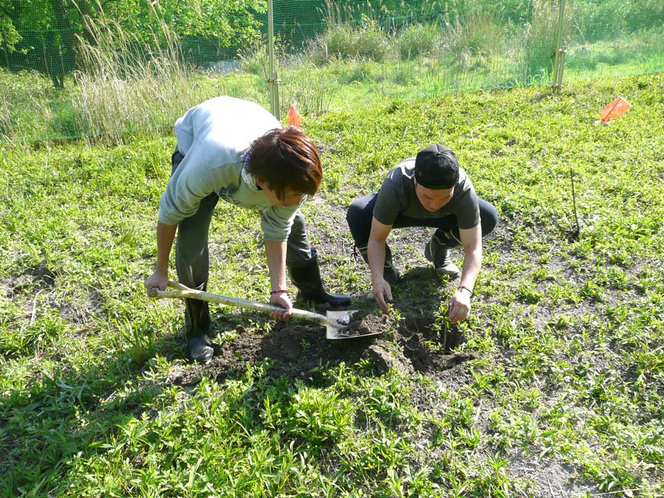 学生の皆さん作業応援