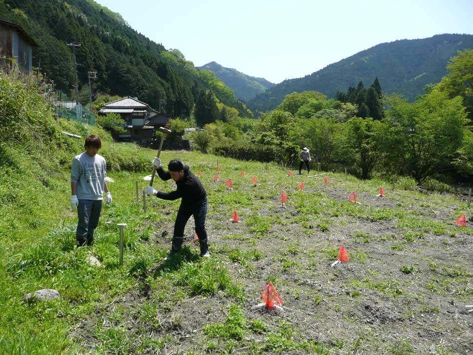 耕作放棄地を開墾
