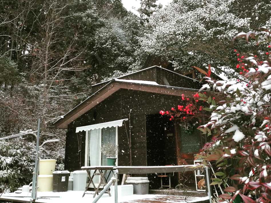 雪の日の山の果研究所